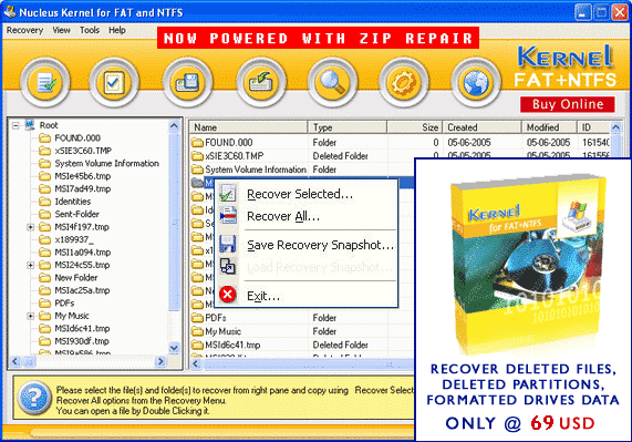 Nucleus Kernel Data Recovery Software Screenshot